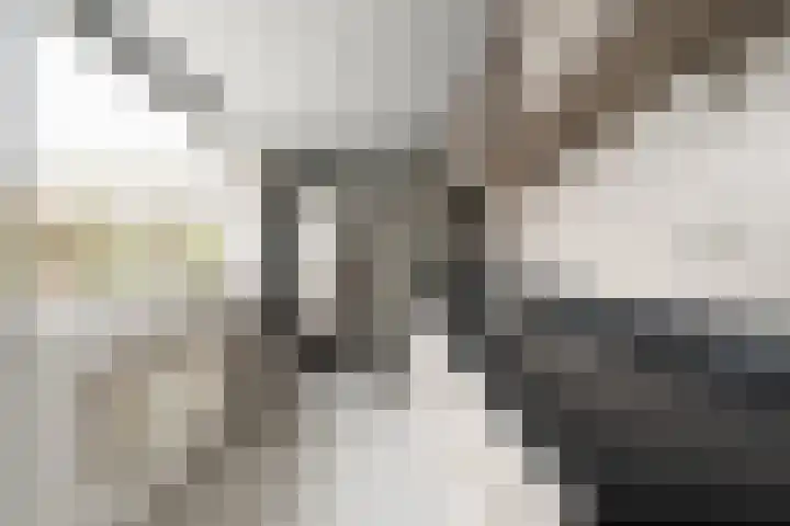 Oostslootstraat 8 Den Helder thumbnail 13