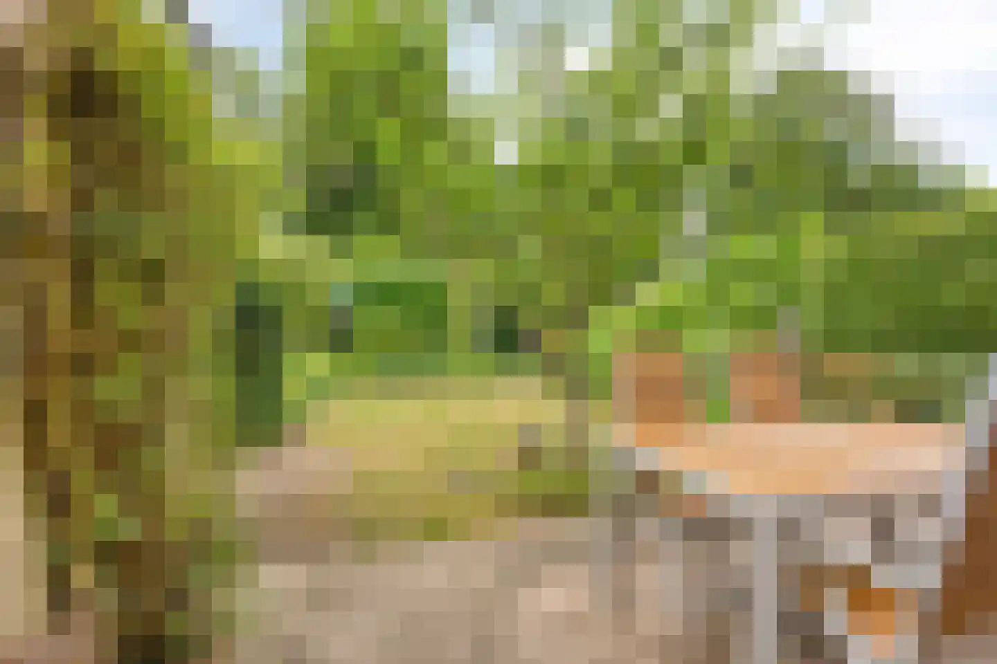Ooststeeg 119 Wageningen thumbnail 33
