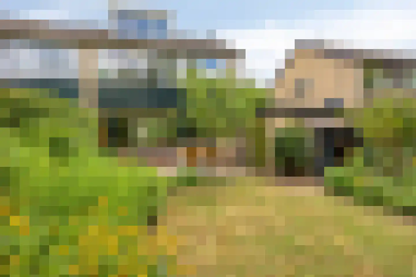 Ooststeeg 119 Wageningen thumbnail 35