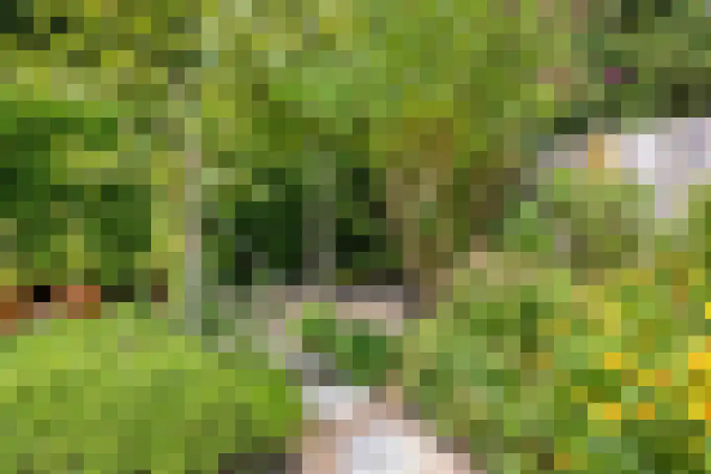 Ooststeeg 119 Wageningen thumbnail 37