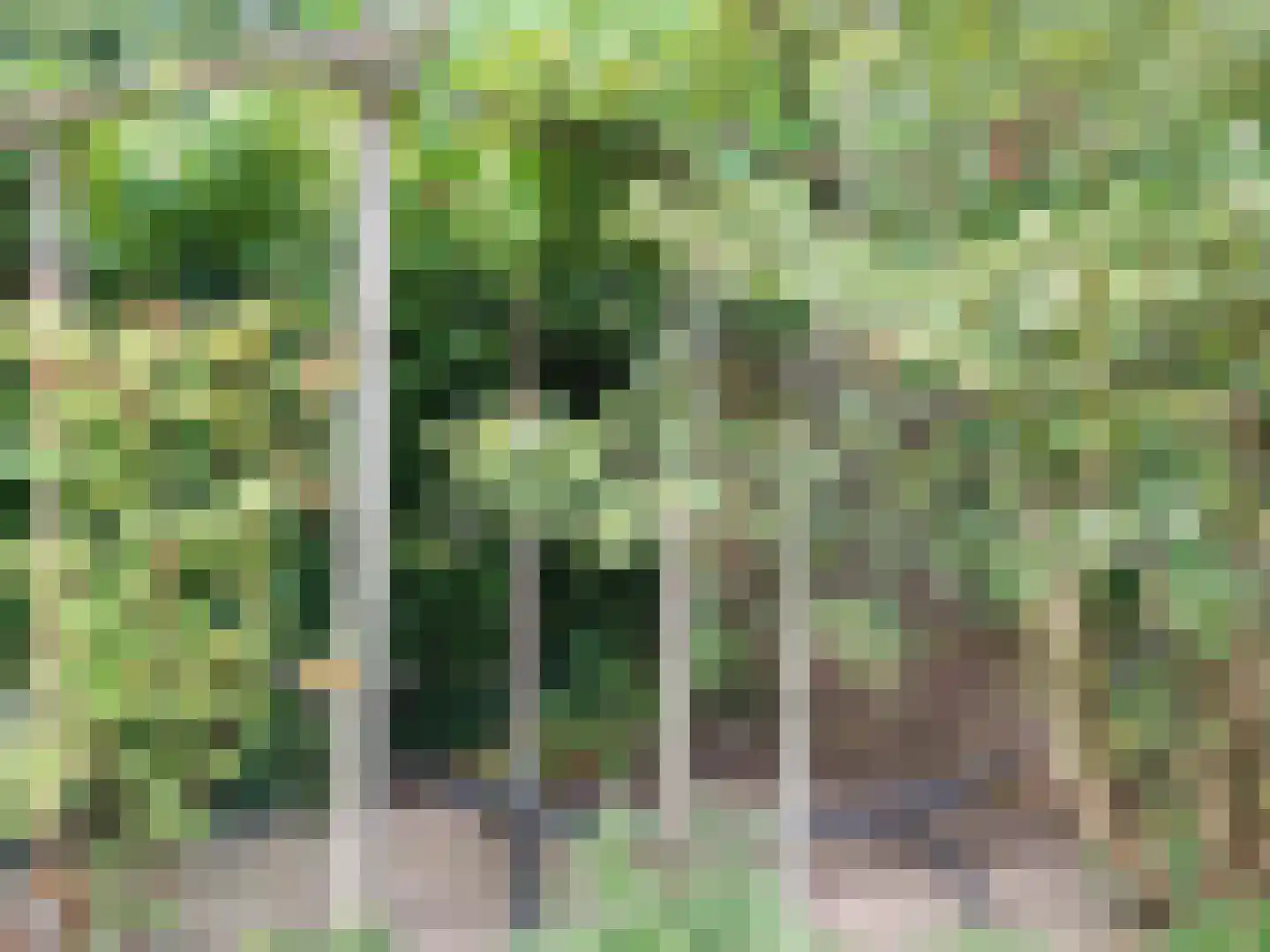 Ooststeeg 119 Wageningen thumbnail 38