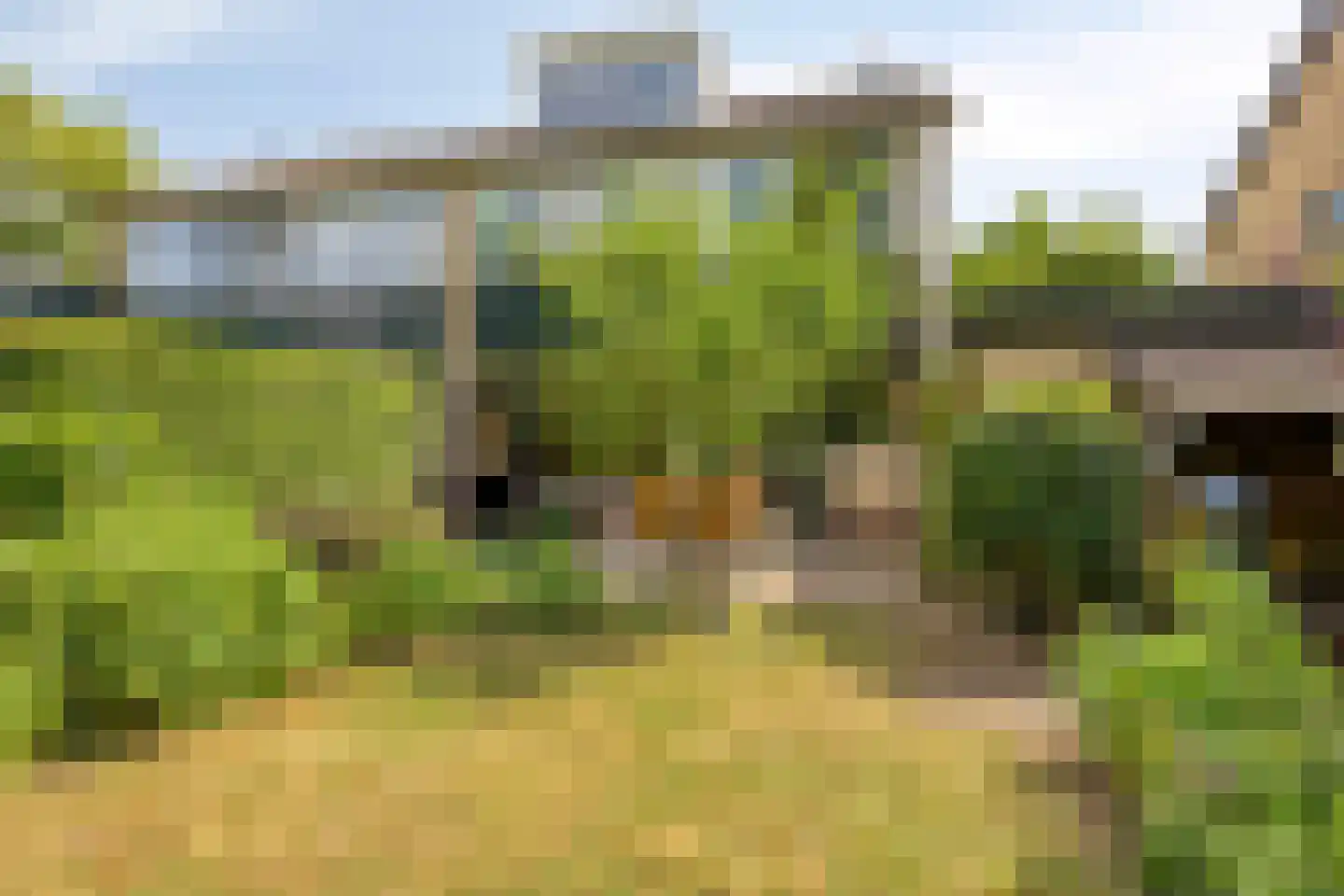 Ooststeeg 119 Wageningen thumbnail 39