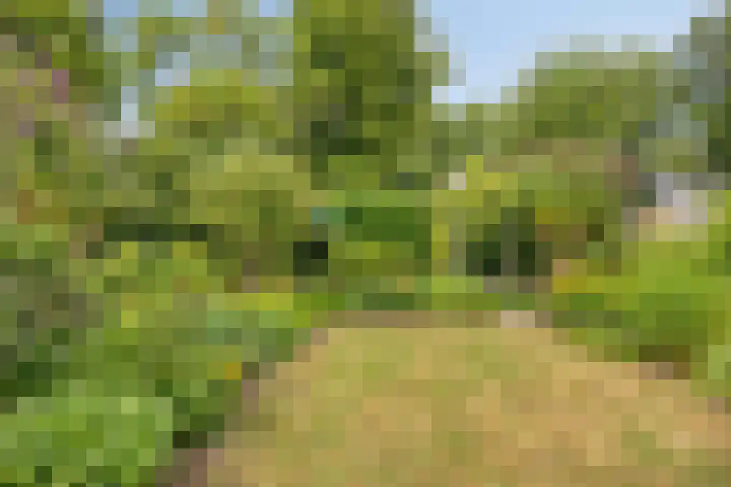 Ooststeeg 119 Wageningen thumbnail 4