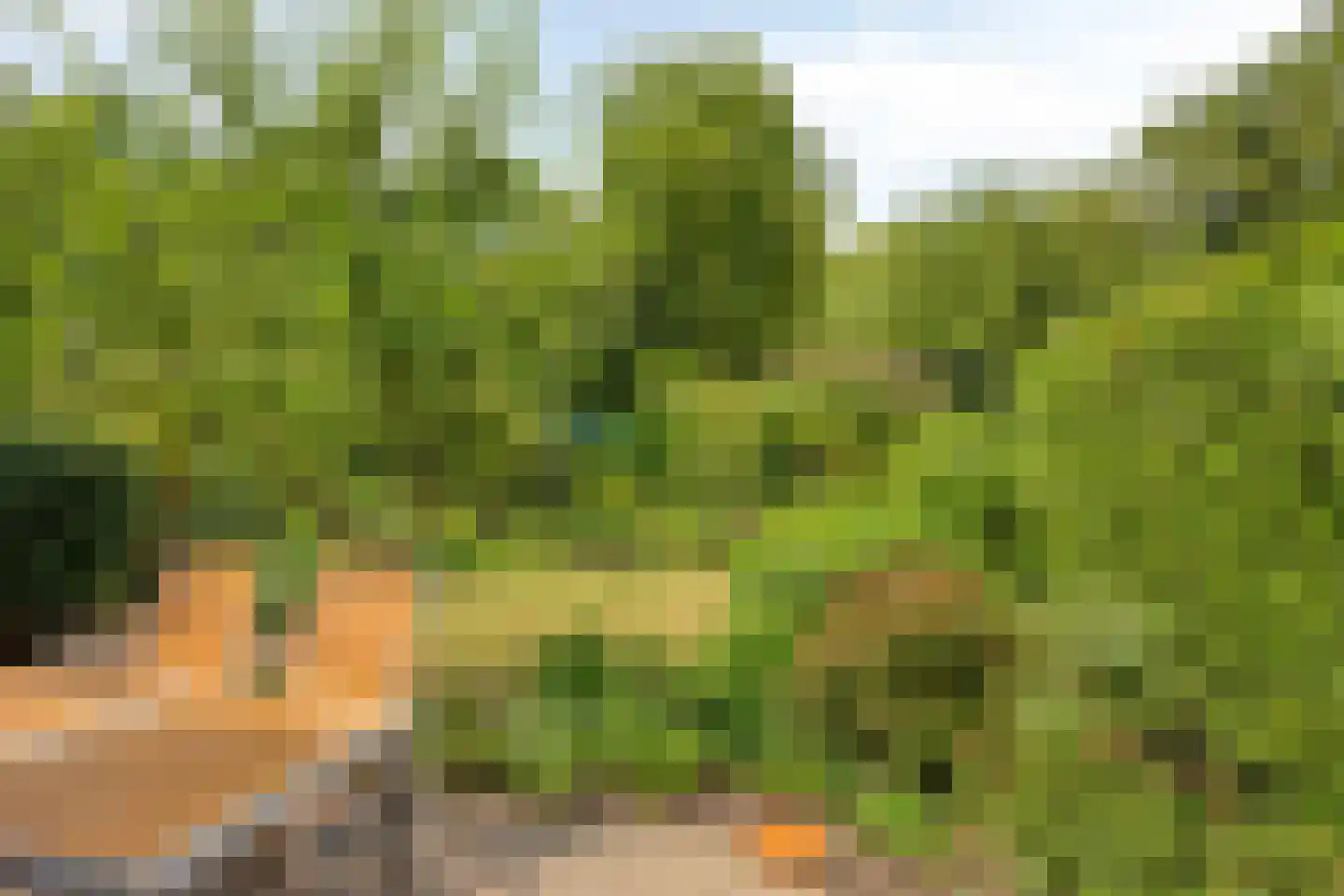 Ooststeeg 119 Wageningen thumbnail 41