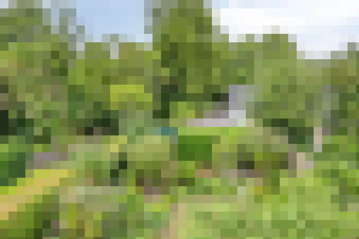 Ooststeeg 119 Wageningen thumbnail 42