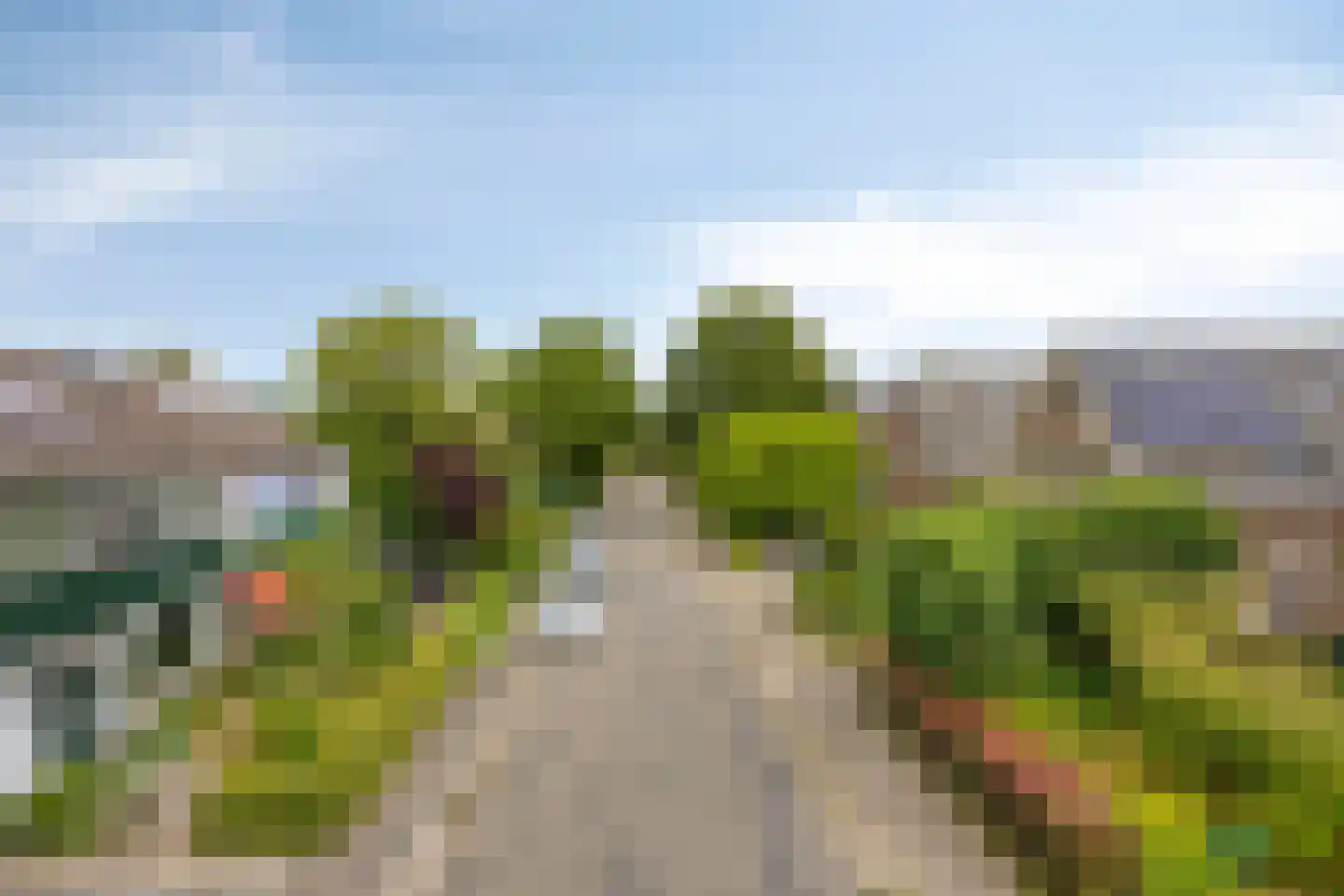 Ooststeeg 119 Wageningen thumbnail 46
