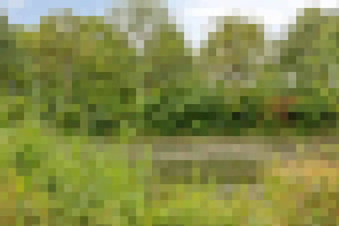 Ooststeeg 119 Wageningen thumbnail 47
