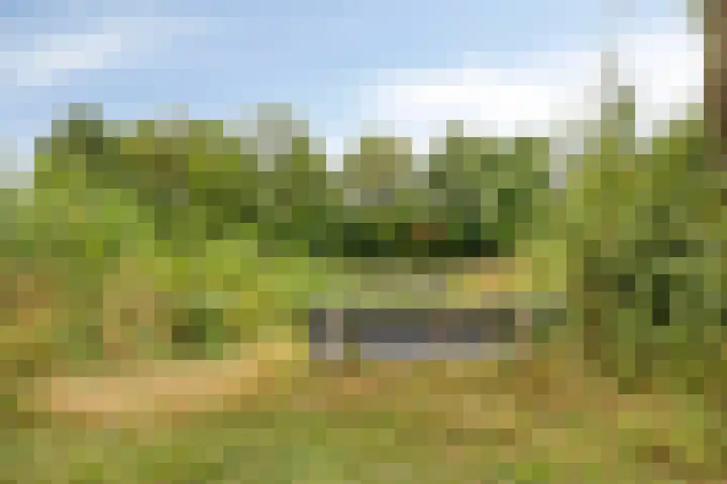 Ooststeeg 119 Wageningen thumbnail 48