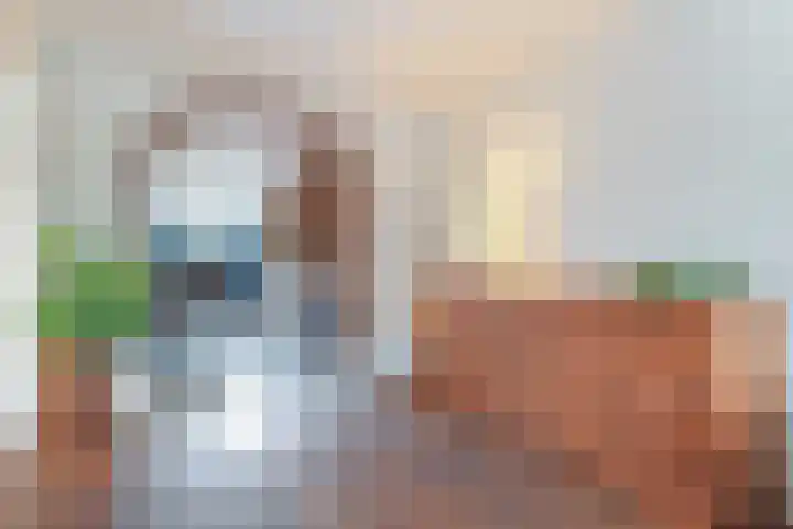Ooststraat 10 Aagtekerke thumbnail 10