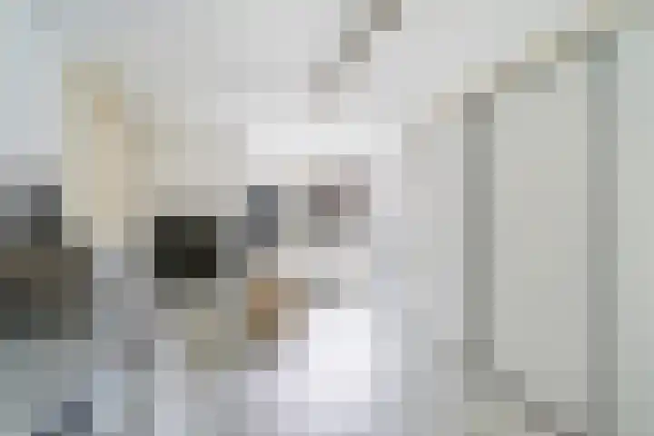 Ooststraat 10 Aagtekerke thumbnail 13