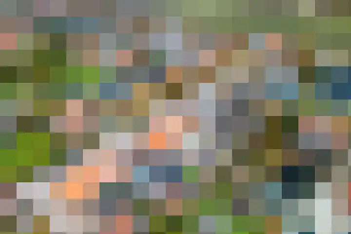 Ooststraat 10 Aagtekerke thumbnail 34