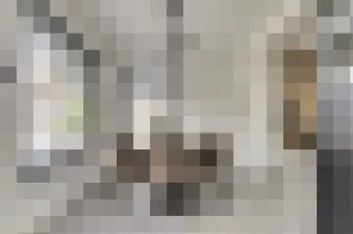 Ooststraat 11 Nieuwerkerk thumbnail 10