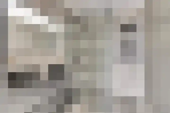 Ooststraat 11 Nieuwerkerk thumbnail 15