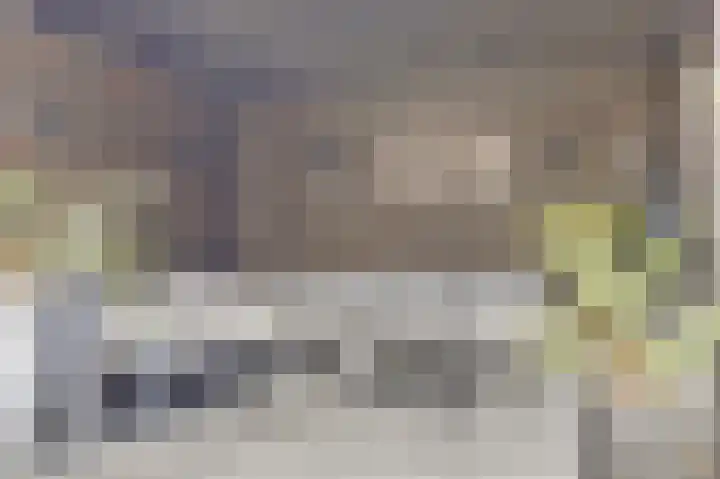 Ooststraat 11 Nieuwerkerk thumbnail 24