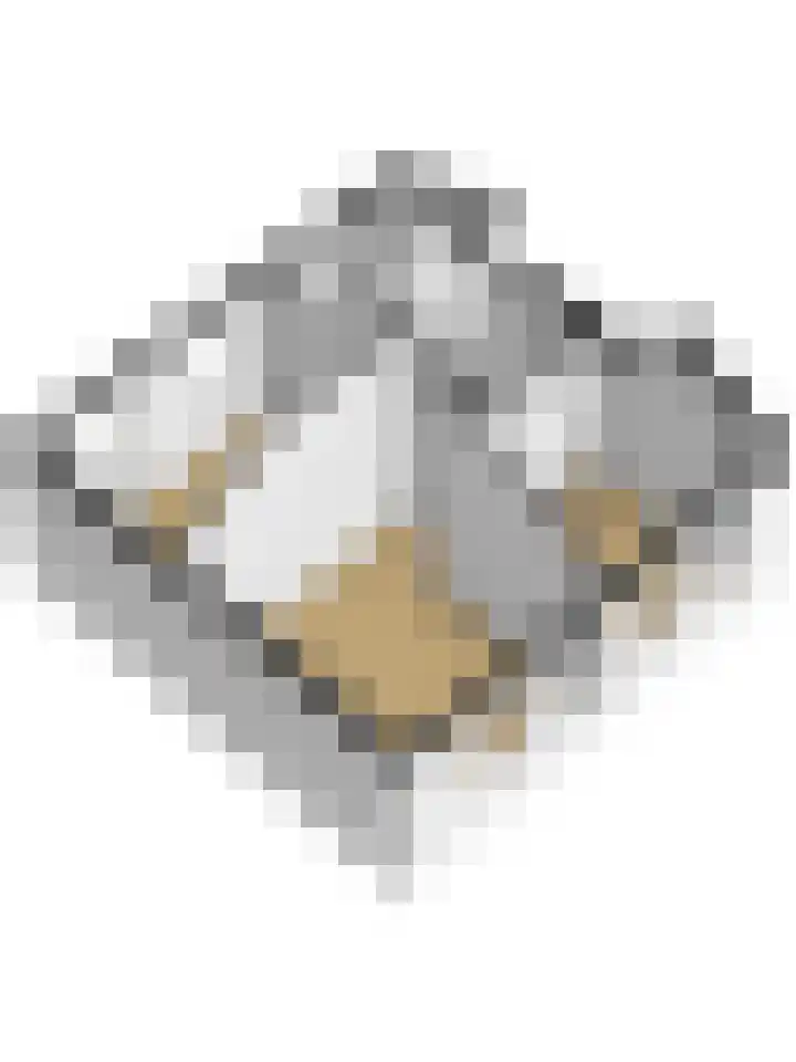 Ooststraat 11 Nieuwerkerk thumbnail 40