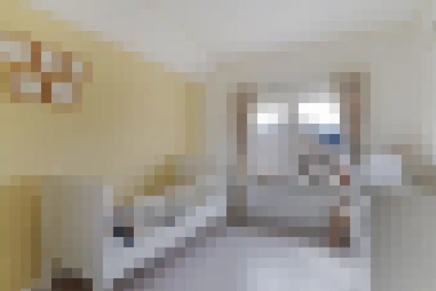 Ooststraat 2 Aagtekerke thumbnail 27