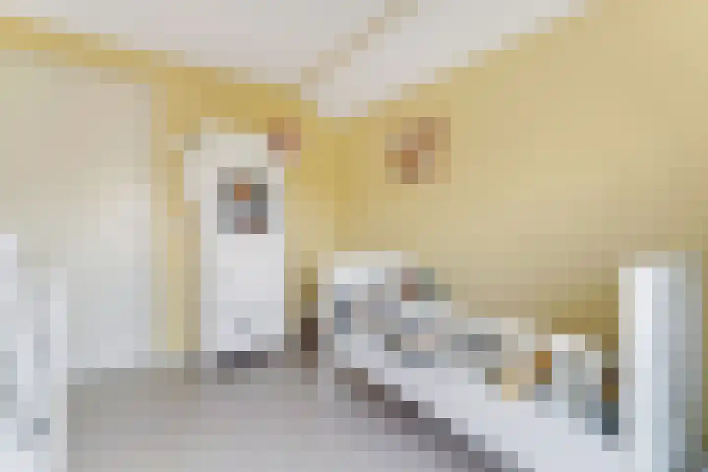 Ooststraat 2 Aagtekerke thumbnail 28