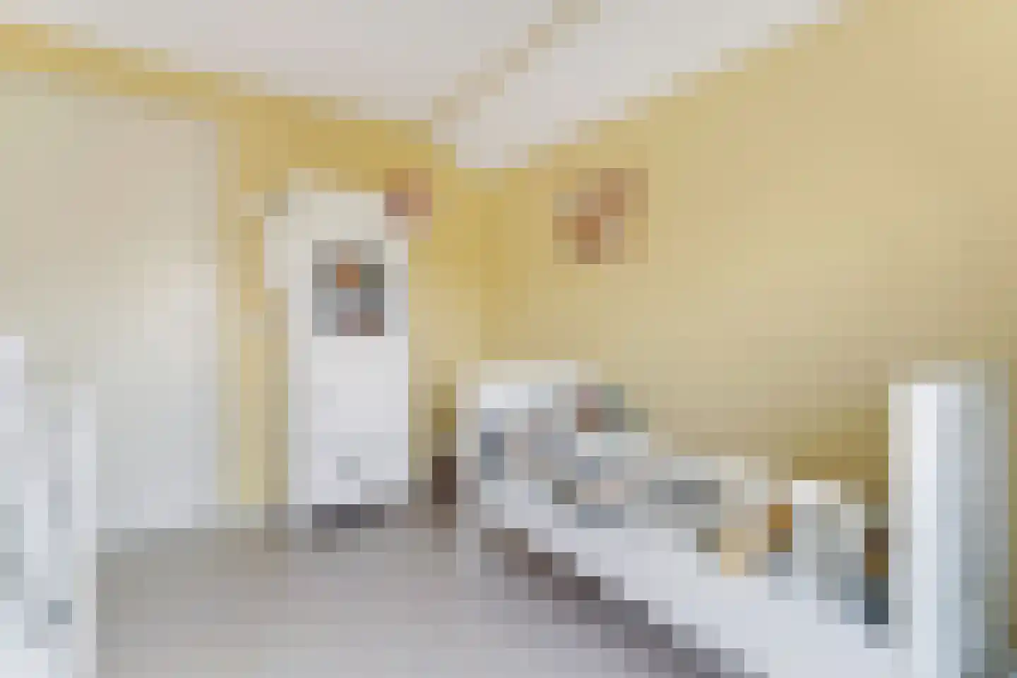 Ooststraat 2 Aagtekerke thumbnail 29
