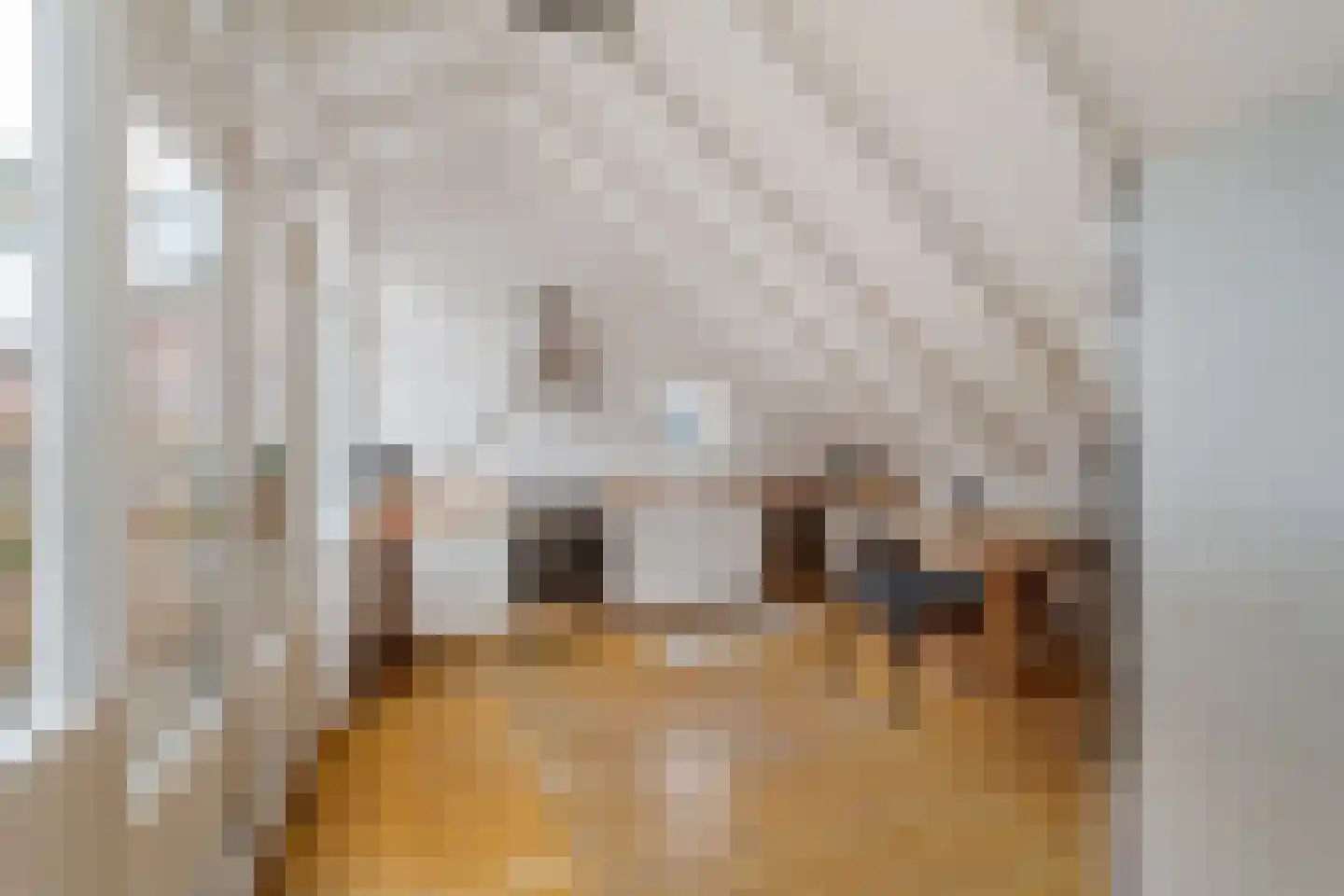 Ooststraat 2 C Den Haag thumbnail 15