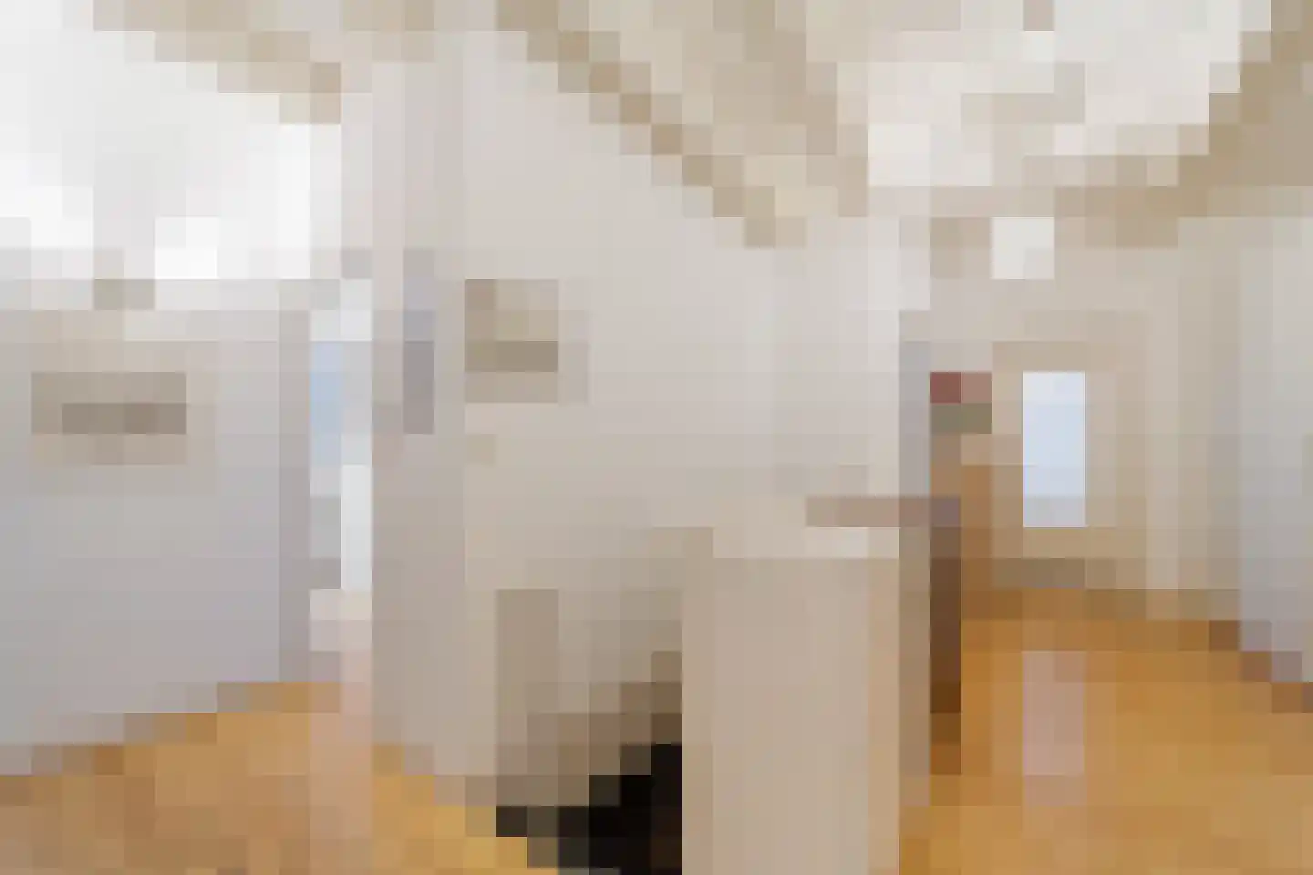Ooststraat 2 C Den Haag thumbnail 22