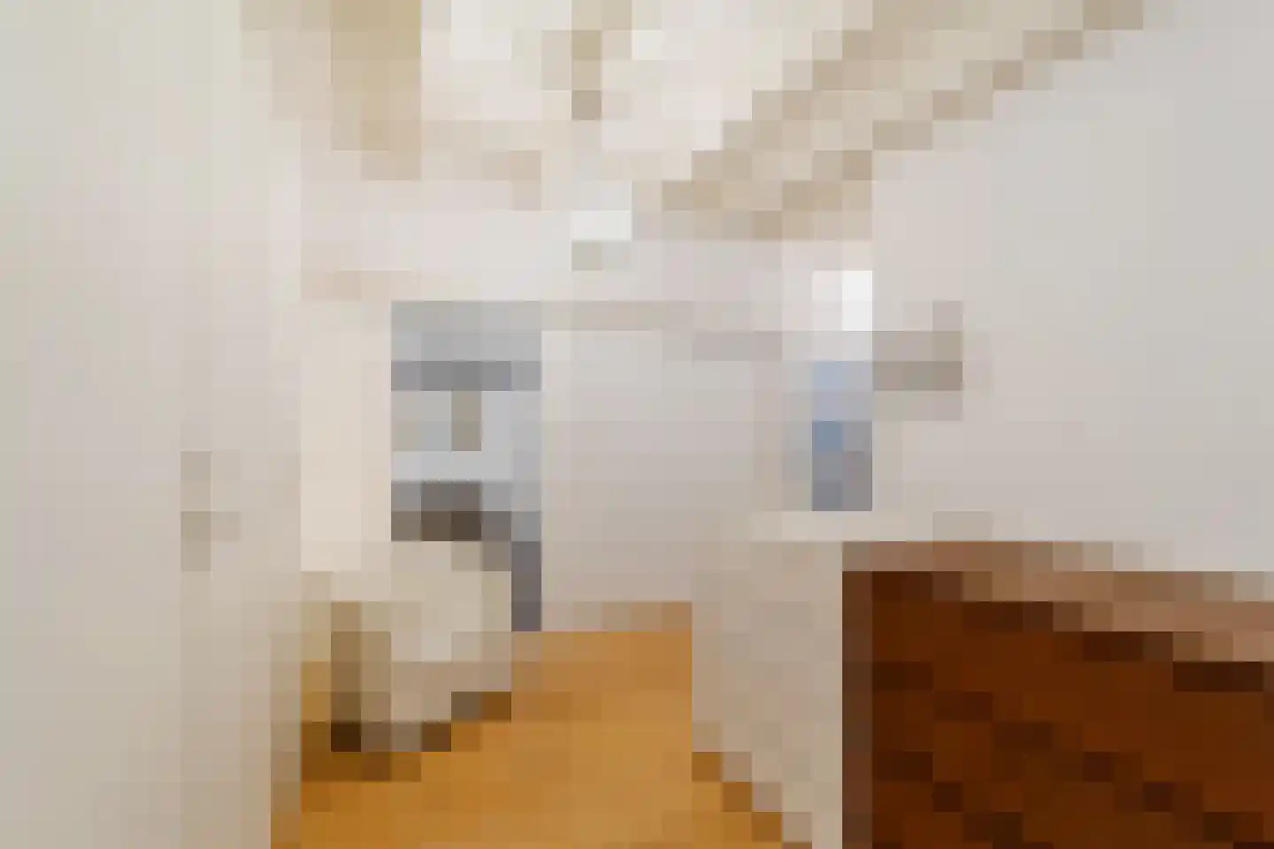 Ooststraat 2 C Den Haag thumbnail 25