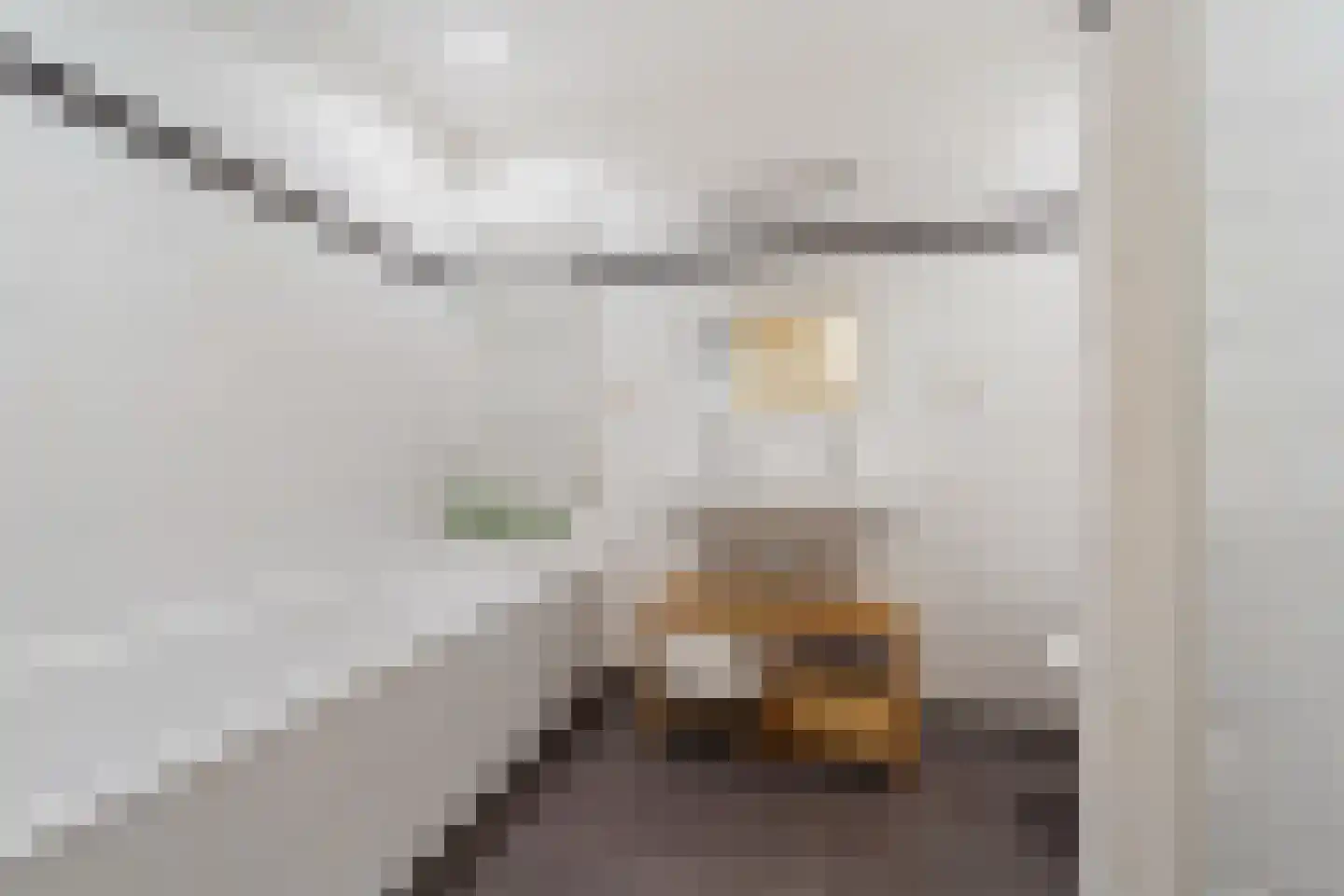 Ooststraat 2 C Den Haag thumbnail 27