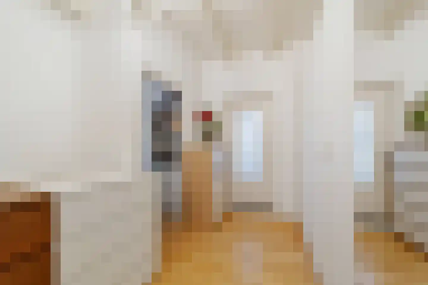 Ooststraat 2 C Den Haag thumbnail 29