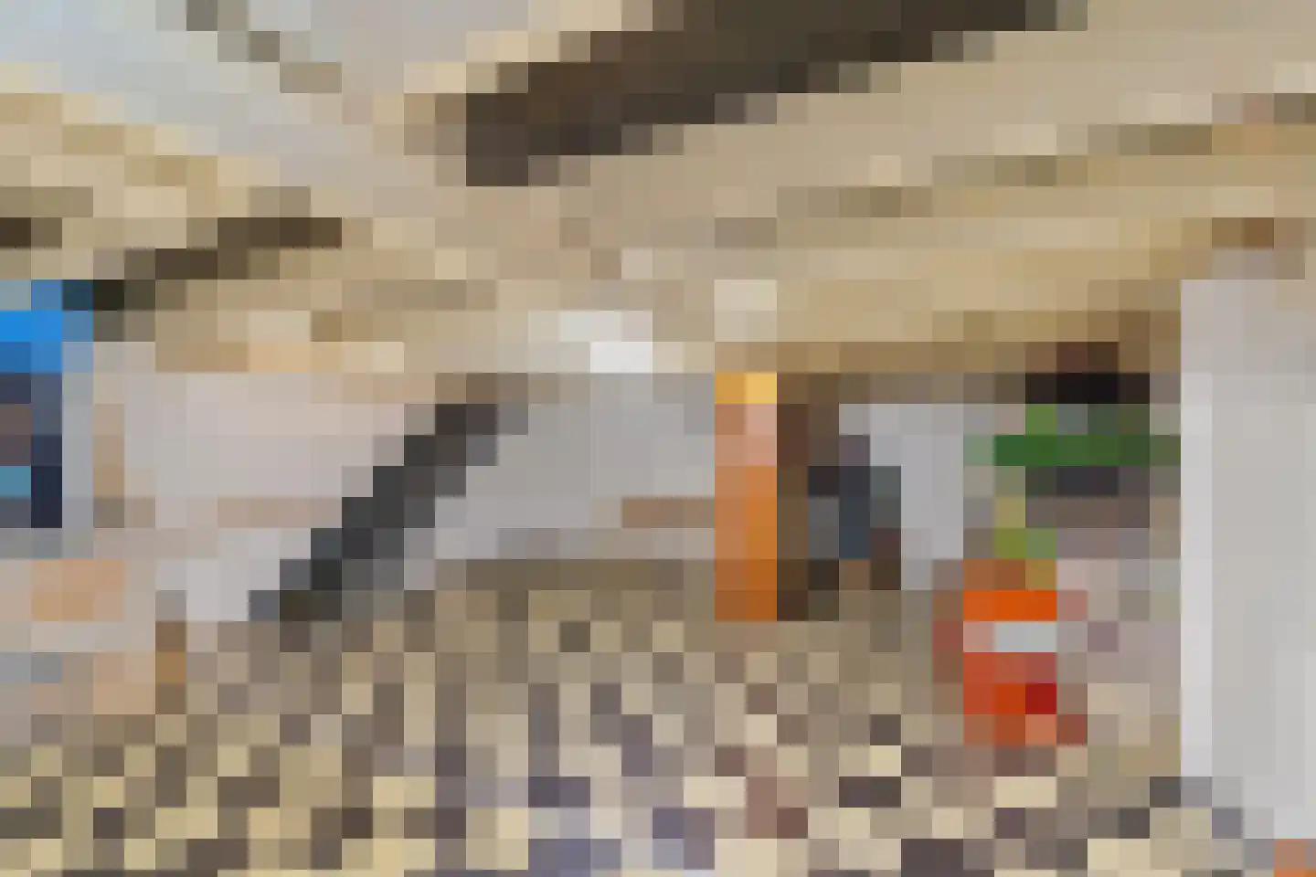 Ooststraat 2 C Den Haag thumbnail 33