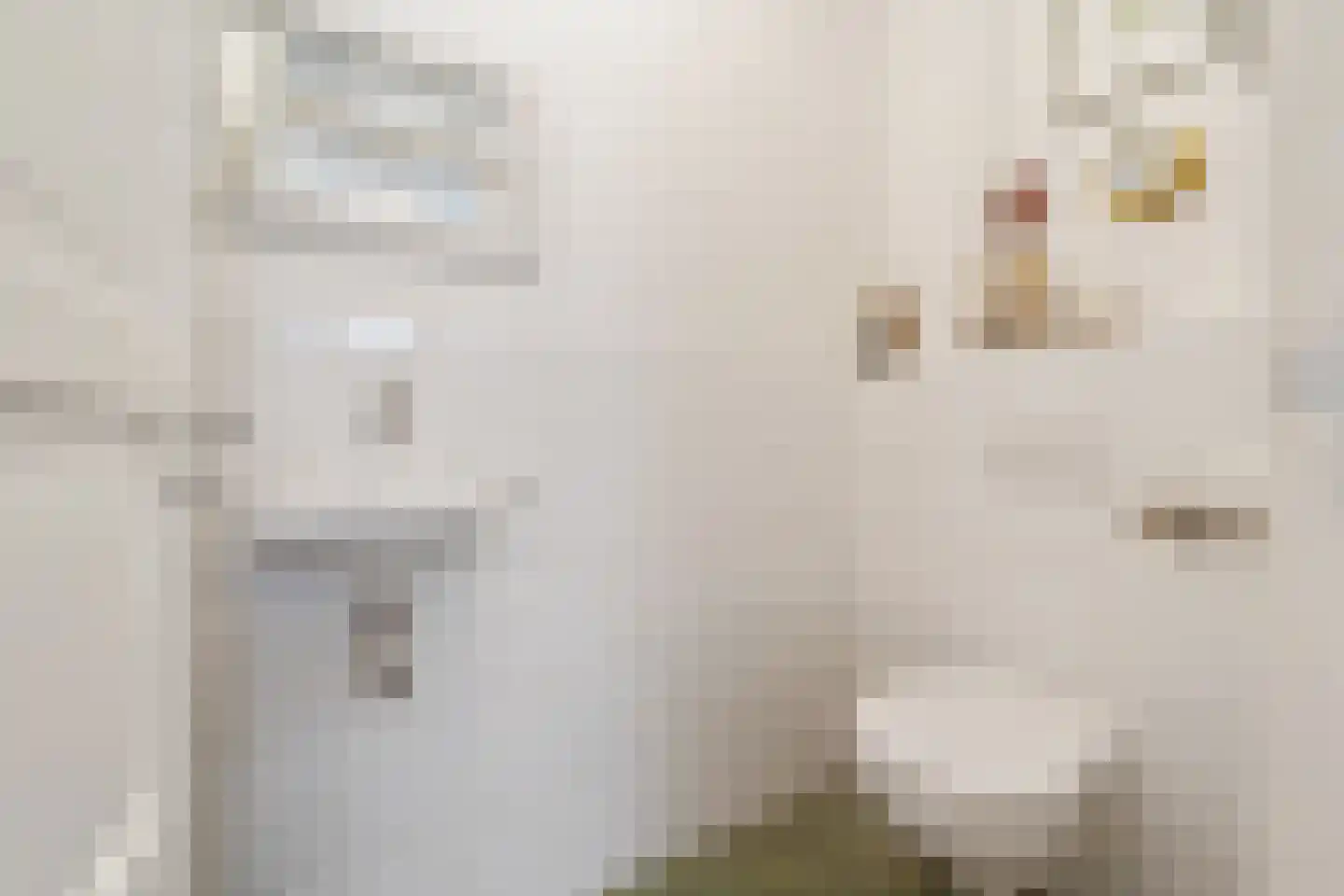 Ooststraat 2 C Den Haag thumbnail 4