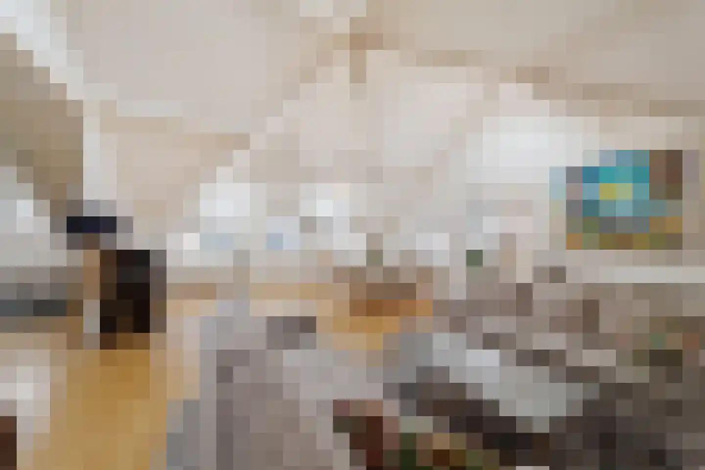 Ooststraat 2 C Den Haag thumbnail 9