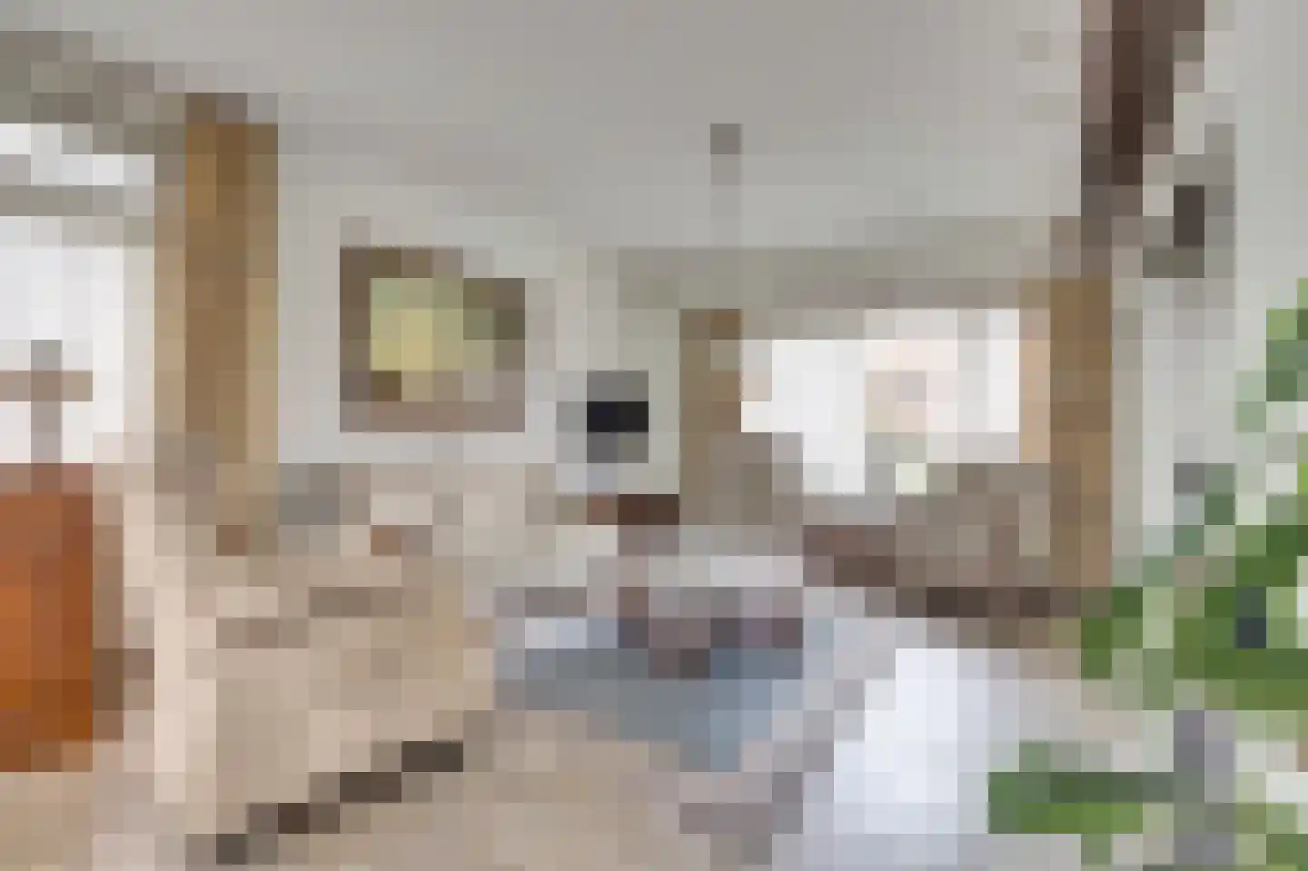 Ooststraat 20 Nieuwerkerk thumbnail 10