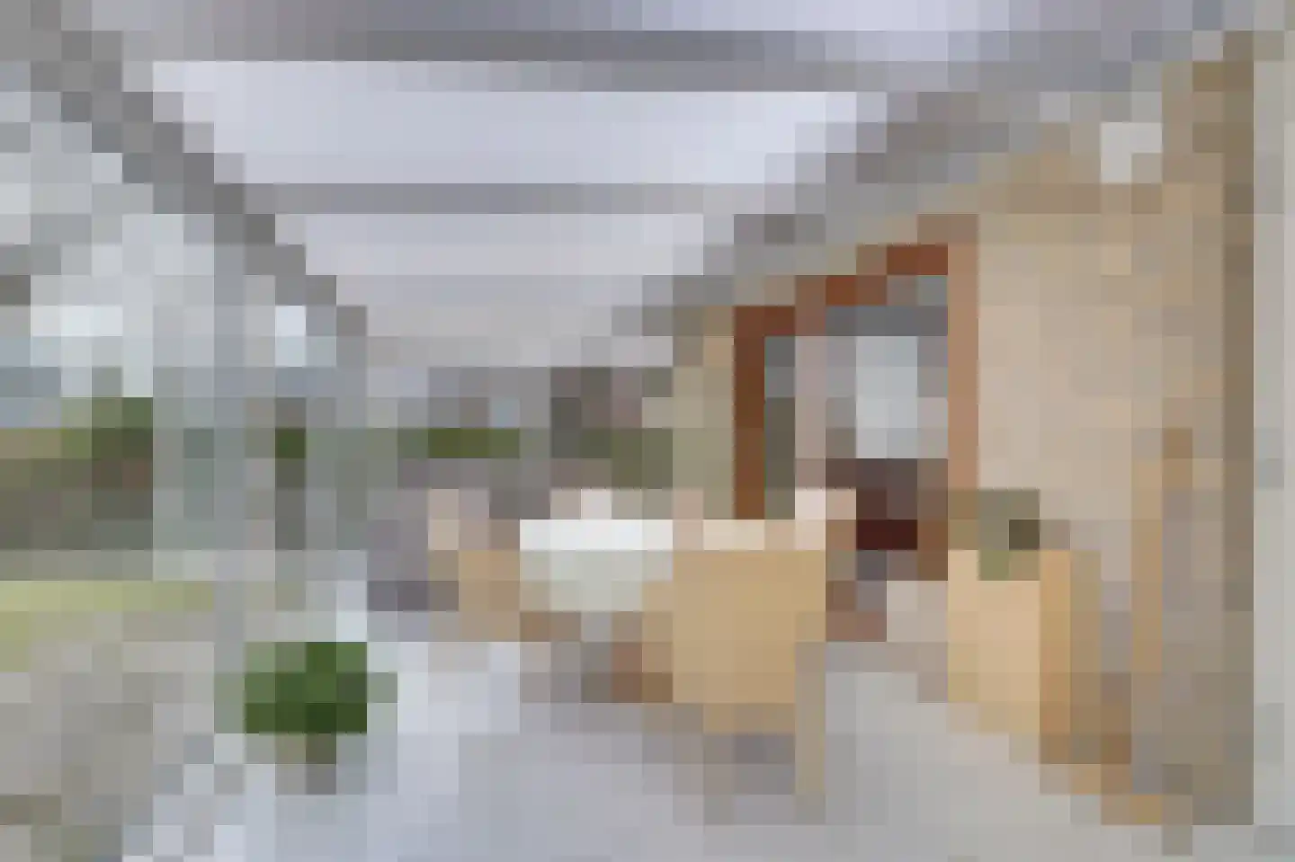 Ooststraat 20 Nieuwerkerk thumbnail 12