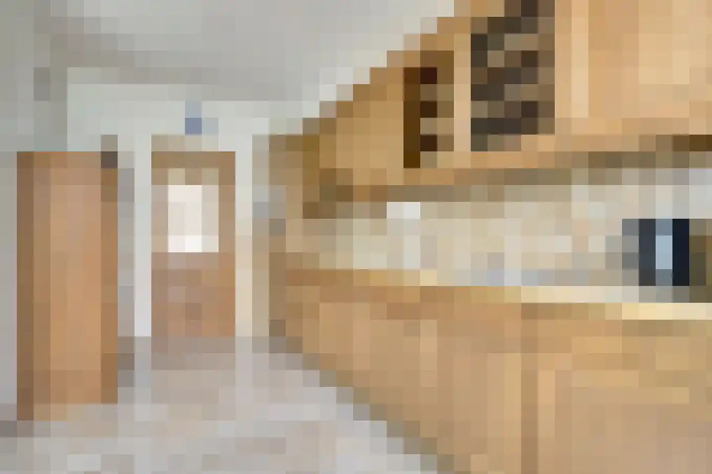 Ooststraat 20 Nieuwerkerk thumbnail 15
