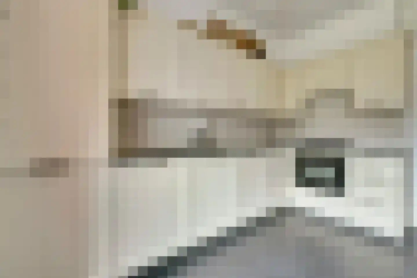 Ooststraat 22 Kapelle thumbnail 15
