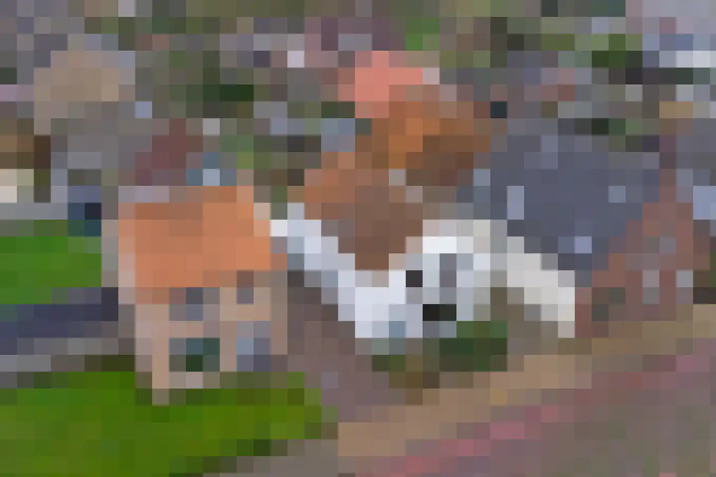 Ooststraat 22 Kapelle thumbnail 36
