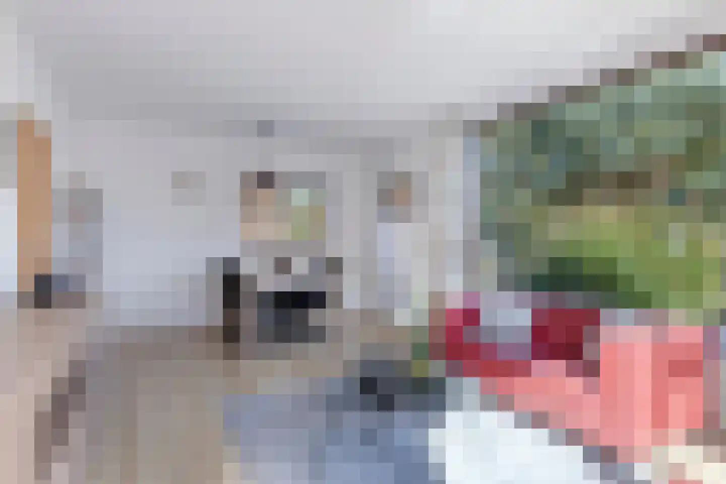Ooststraat 30 Nieuwerkerk thumbnail 19