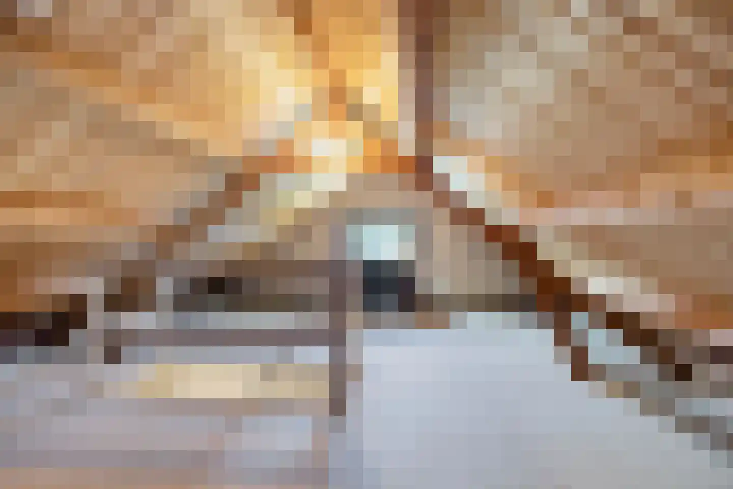 Ooststraat 30 Nieuwerkerk thumbnail 26