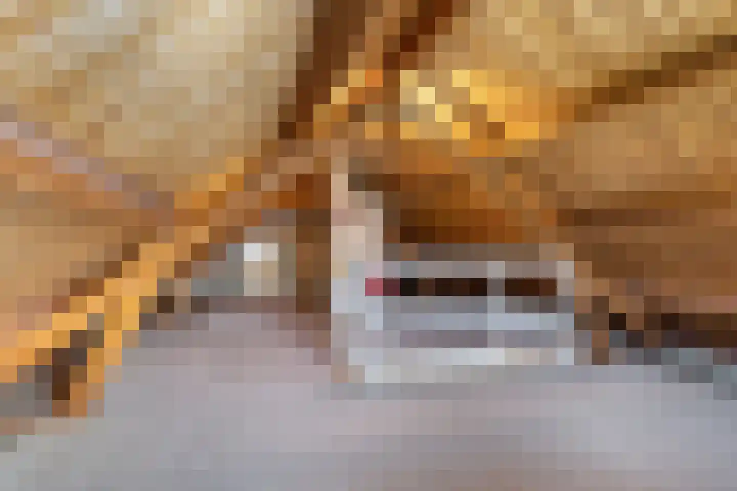 Ooststraat 30 Nieuwerkerk thumbnail 27