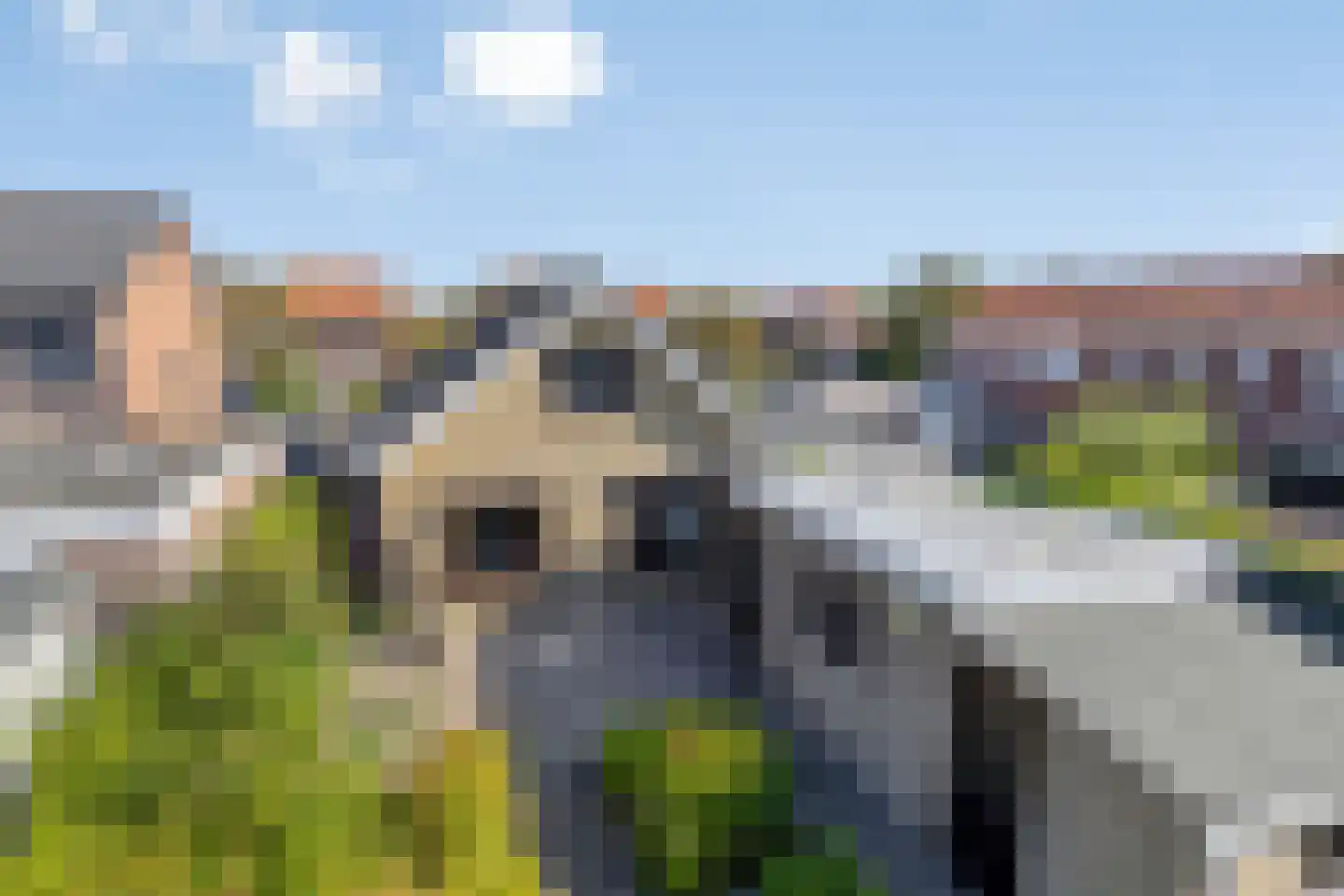 Ooststraat 30 Nieuwerkerk thumbnail 33