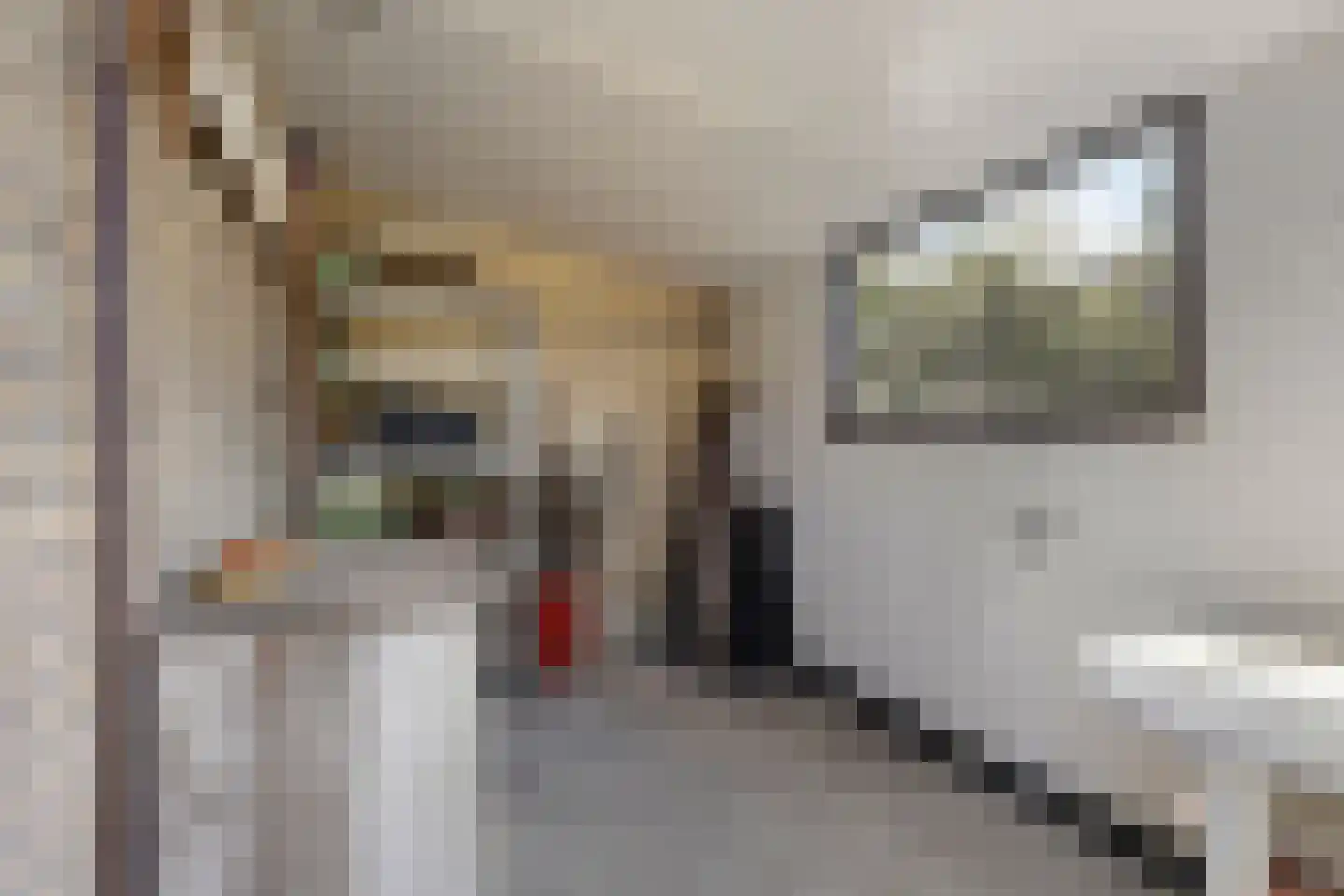 Ooststraat 30 Nieuwerkerk thumbnail 35