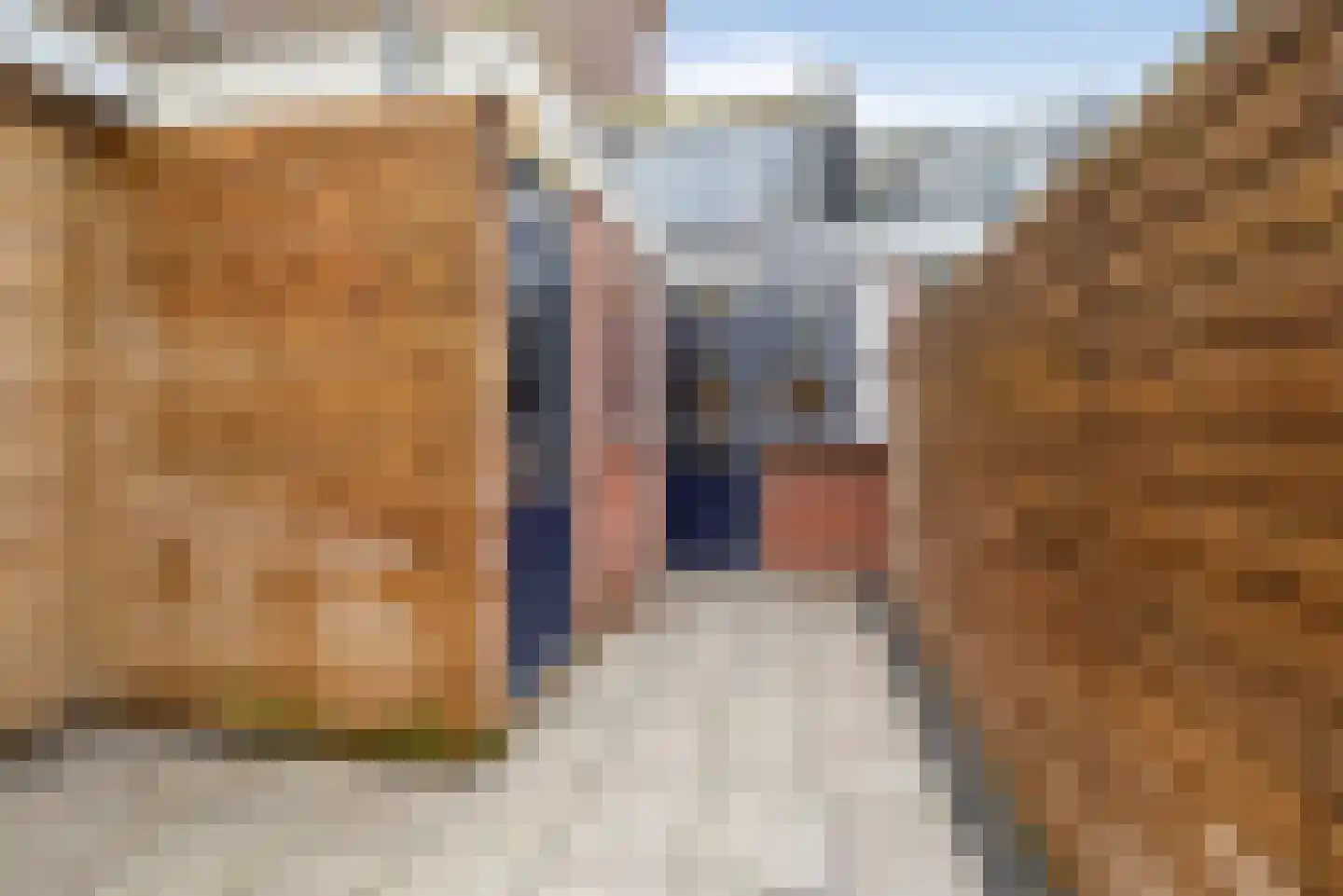 Ooststraat 9 Den Helder thumbnail 21