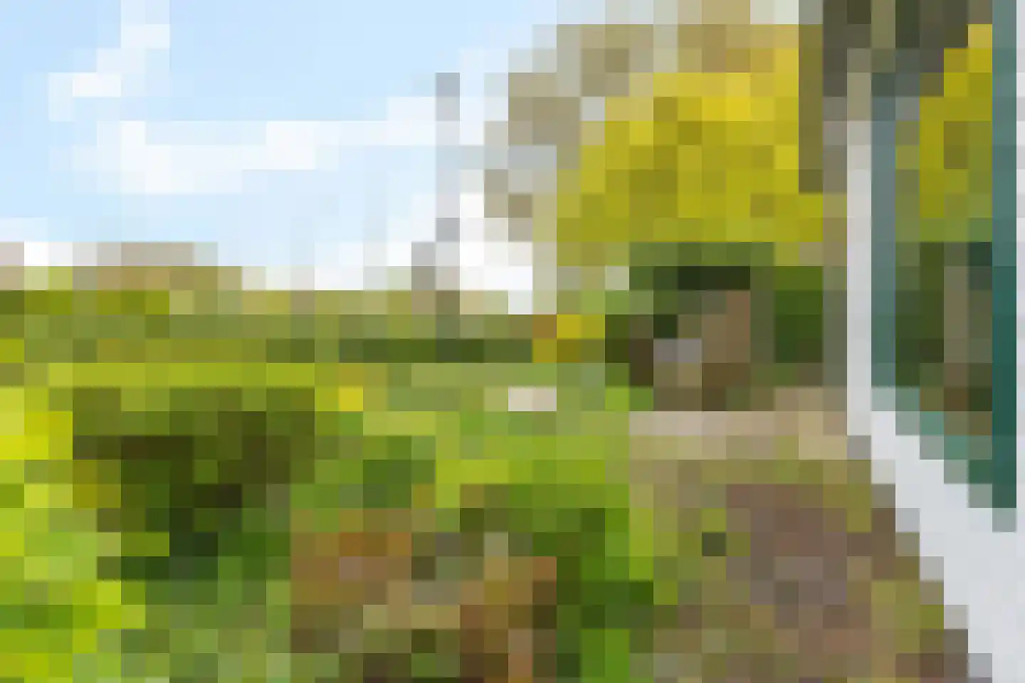Oostvaardersdijk 5 Lelystad thumbnail 29