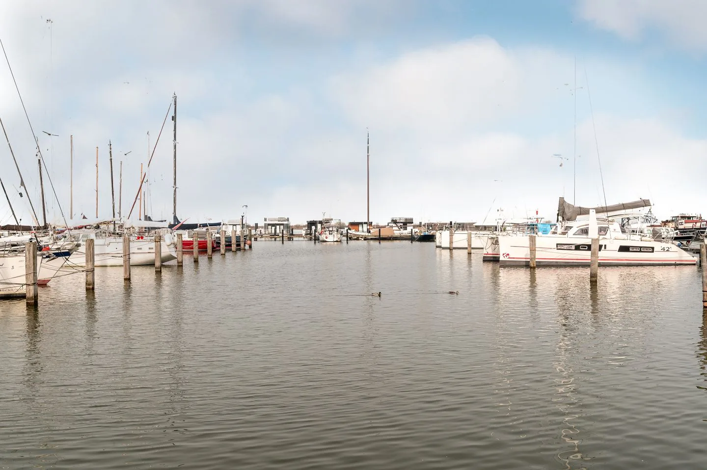 Oostvaardersdijk 99043 Lelystad thumbnail 32