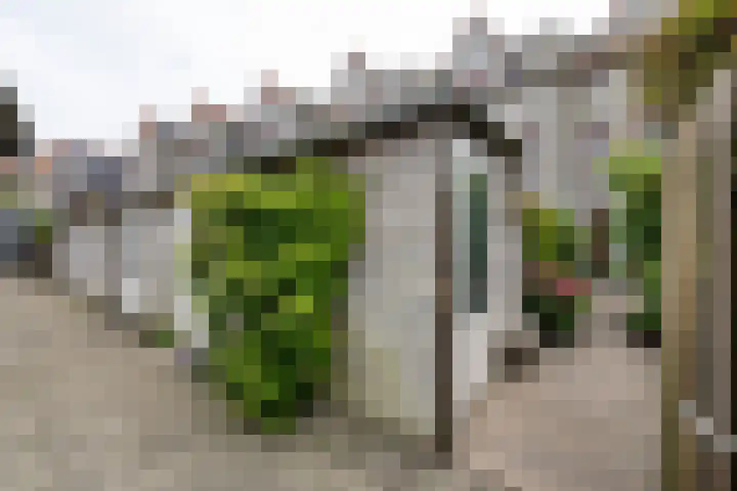 Oostvest 14 A Haarlem thumbnail 13