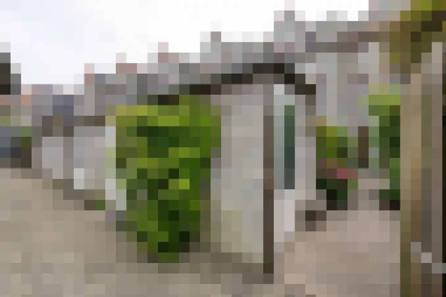Oostvest 14 A Haarlem thumbnail 13