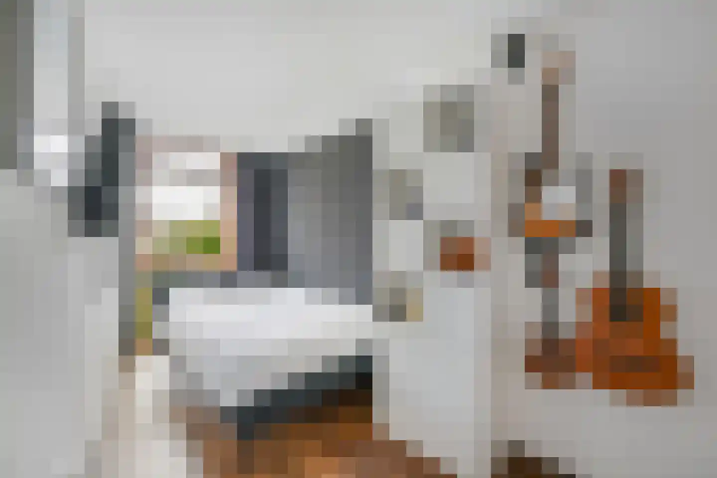 Oostvest 14 A Haarlem thumbnail 19