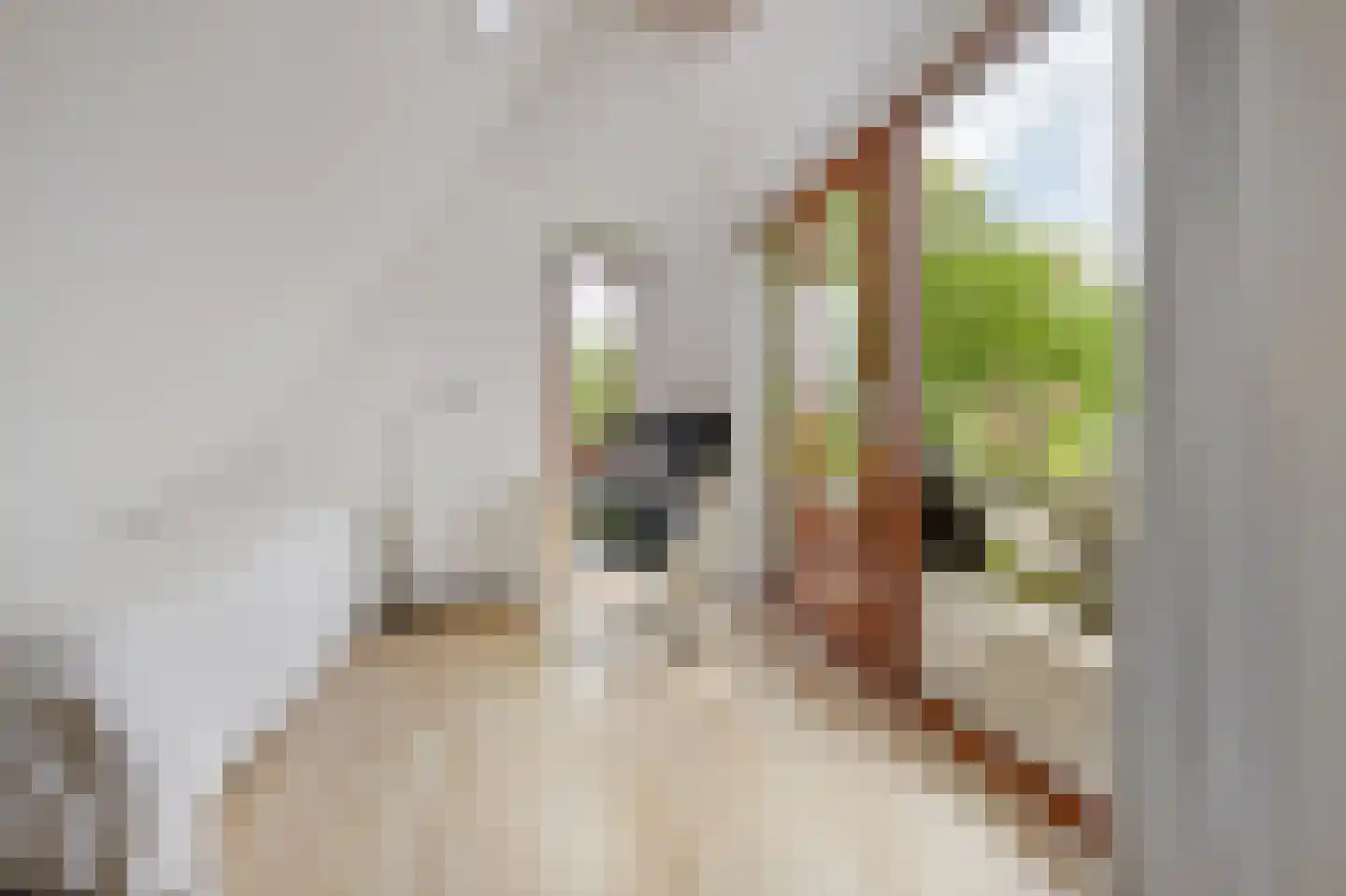 Oostvest 14 A Haarlem thumbnail 26