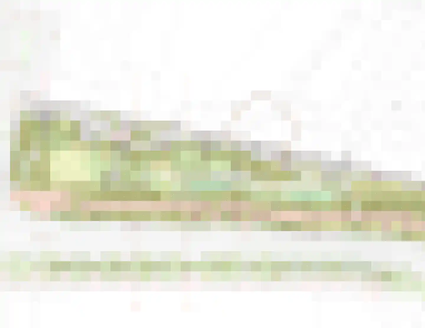 Oostvest 14 A Haarlem thumbnail 35