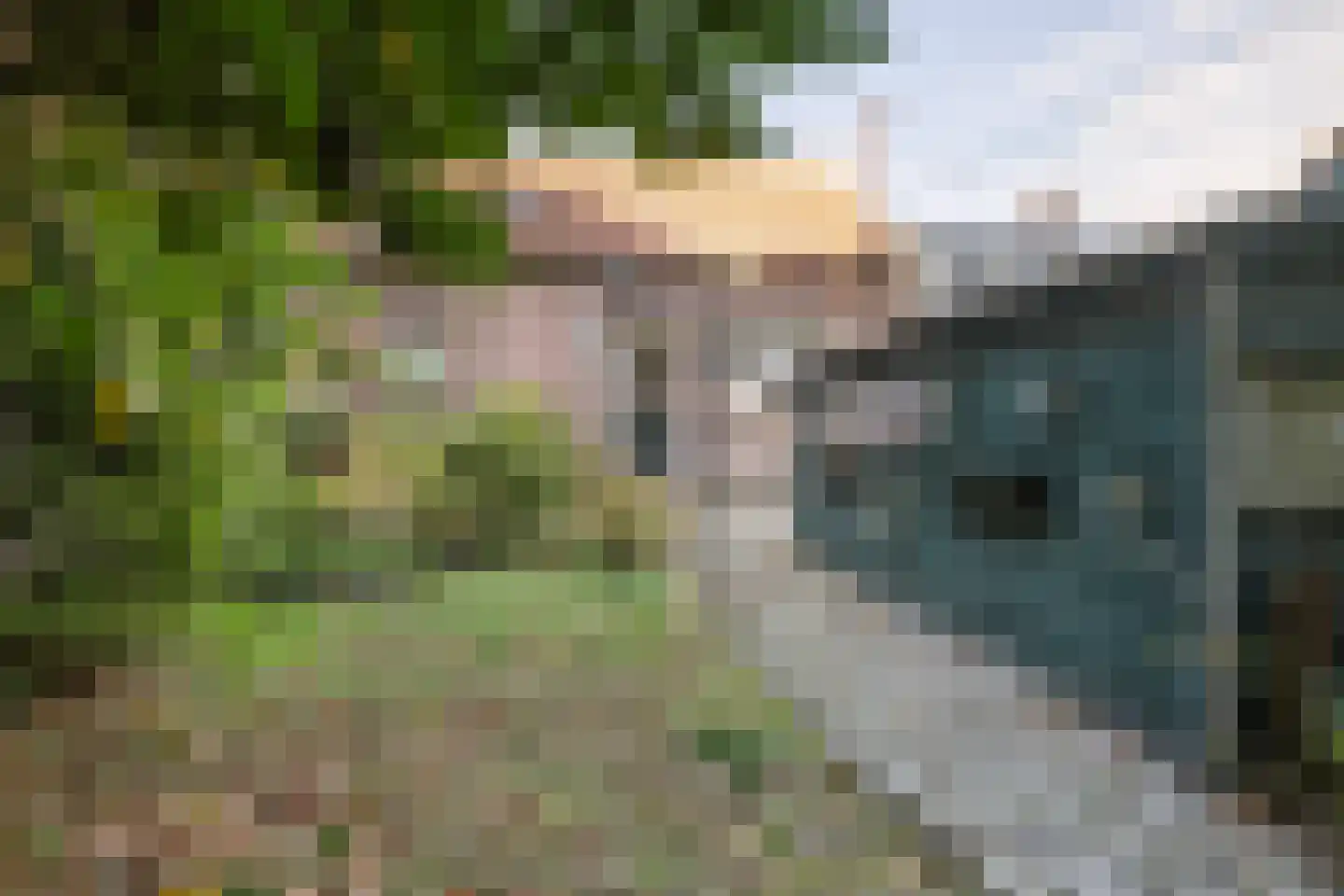 Oostvest 47 Sint-Maartensdijk thumbnail 5