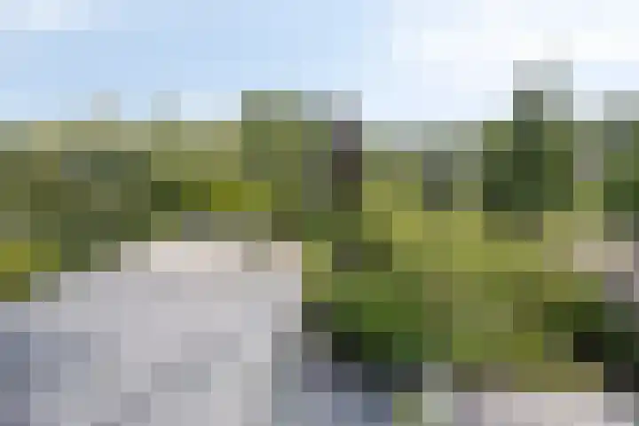 Oostvlietweg 12 B Leidschendam thumbnail 13